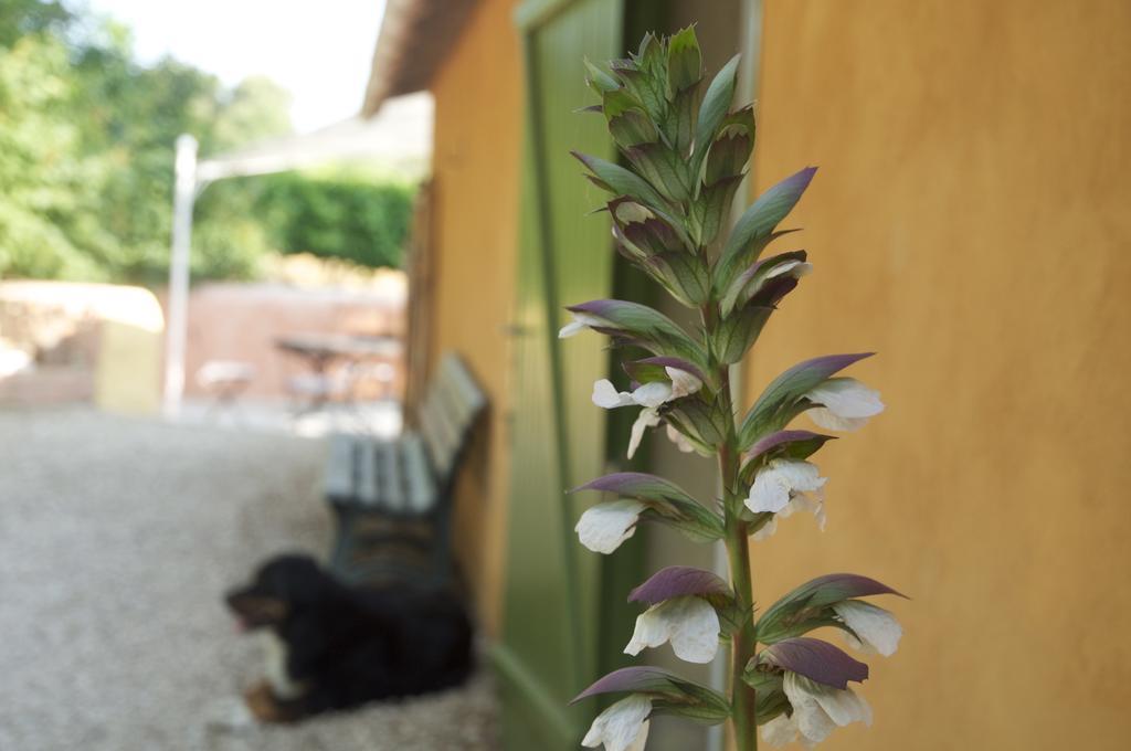 Gîte de Bacalan Mormoiron Cameră foto