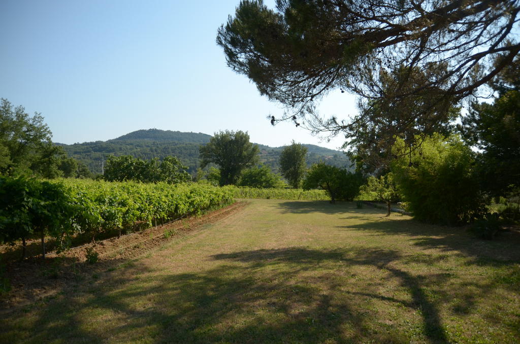 Gîte de Bacalan Mormoiron Cameră foto