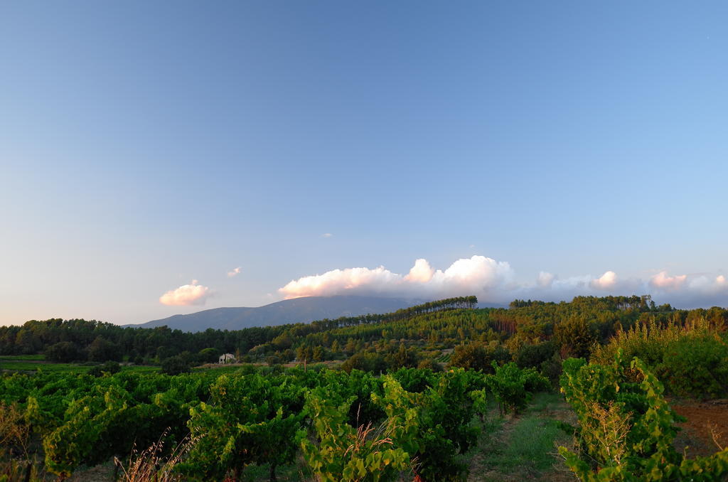 Gîte de Bacalan Mormoiron Cameră foto